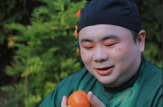 红果短剧称全面下架《桃花簪》，此前被网友质疑“偷脸”盗用造型