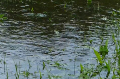 4月20日14时起，湖南启动防汛四级应急响应