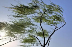 最大风力可达8级以上，长沙发布大风蓝色预警