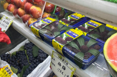 早熟杨梅“抢鲜”上市，整体偏酸，爱吃的可以等一等