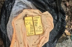 男子骗取5车铜板换14根金条，法院拍卖黄金退赔，全部溢价成交