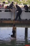 10分钟生死竞速，耒阳医者纵身一跃救下落水男童