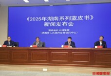 首次系统梳理文化IP，《2025年湖南系列蓝皮书》发布