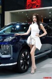 图集  |  湖南车展首日，香车美女齐亮相