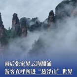雨后张家界云海翻涌，游客直呼闯进“悬浮山”世界