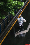 我是刘贵香 |  星城雨雨雨