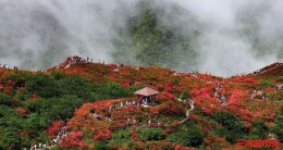 热辣湖南夏日寻凉：一半在山林，一半在江湖