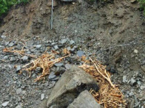湖南拟立法防治地质灾害、加强烟草专卖管理