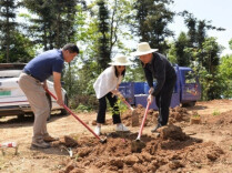 “熊猫树”72年后再开花，155株濒危植物在湖南“安家”