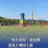 “风车花海”迎花期，盘龙大观园上新｜“湘”见旅发会