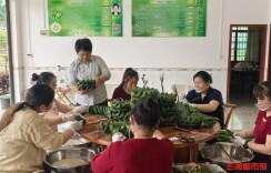 端午将至，益阳桃江“柿饼粽”火了，村民忙增收