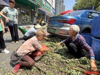 青绿艾草捆成束，长沙人的端午从门楣上的蒲剑艾鞭开始丨潮玩端午