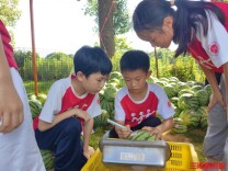 下地摘瓜、校门口摆摊！长沙这群小学生用义卖助力脑瘫同学康复路丨26℃