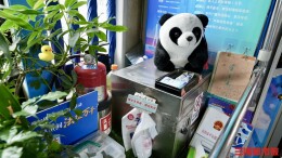 长沙2路公交的留言本火了，道尽街头的烟火与温柔，被市博物馆收藏