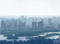 路径奇数量密，今年台风不寻常