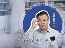160亿学费，企二代创业学会了什么｜军哥说新闻