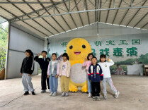 “观众花了钱，我们不能敷衍”，衡阳奶龙无声表演戳中网友