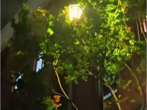 最大风力可达8级以上，长沙发布大风蓝色预警
