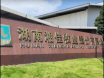 湘佳股份涨停，前三季度净利润同比增长185.84%｜湘股观察