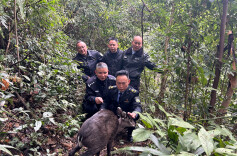 共同守护美丽家园！城步两名中学生救助野生保护动物受到表彰