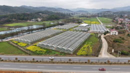 春光不负，农事不误！东安白牙市镇：智能育秧按下早稻生产“启动键”