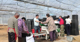 东安：种粮大户抢时节，科技助力育秧忙