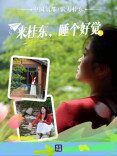 来桂东，睡个好觉