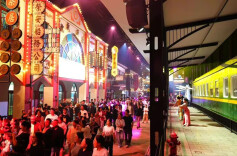白天看万兽，夜晚游山海！汉寿让游客把“国庆假期”过成“童话世界”