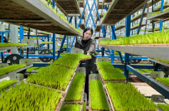 衡山：秧苗坐“电梯”住“楼房”，智能化育秧满满“科技范”