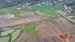 开局八好 乘势而上丨衡山县永和乡：提质改造耕作条件 1900余亩耕地焕新生