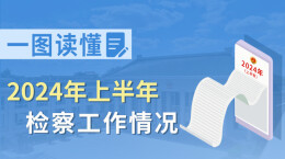 【图解】一图读懂2024年上半年检察工作情况