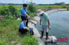 田间冒出“粉色危机” 检察公益诉讼守护30万亩粮田
