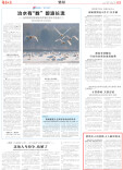 【湖南日报】使用无人机狩猎，3人触犯刑法