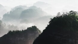 视频｜来了湖南才明白，水墨画是写实不是写意