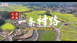 大道兴湘·一条村路 | 路通了，是我回乡的一个理由