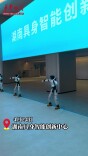 邂逅硬核科创 中德青年代表近距离感受机器人科技魅力