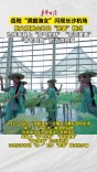 “洞庭渔女”闪现长沙机场 航文旅融合开启“宠客”模式
