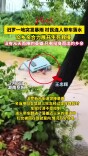 “只想着尽快救人！”汨罗四人跳入激流接力救回落水妇女