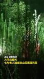 七旬老人为寻爱犬迷失山林，“鹰眼”助力消防员成功营救