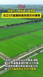 田成方、渠相通、路相连 沅江5万亩高标准农田交付使用