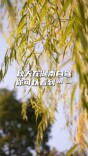 视频｜在湖南开启秋日自驾，把风景装进车窗