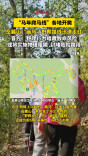 野爬岳麓山“画个马”？有风险，请走正道！