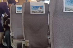 视频|女乘客高铁上得知母亲去世崩溃大哭