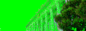 微视频｜总书记心中的头等大事