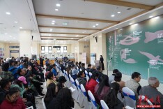 “岸芷汀兰”四展同开，六位女艺术家以笔墨回应洞庭文脉