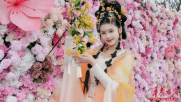 靖港古镇花神节启幕 多元文旅盛宴点亮春日湘江