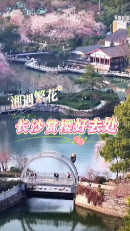 湘遇繁花 | 全部免费！长沙赏樱好去处推荐 