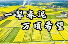 【AI视频】一犁春泥，万顷希望