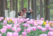 春假催热旅游市场 多业态联动释放消费活力