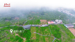 万千气象看湖南丨穿越云雾看新宁，“醉美橙道”宛若仙境